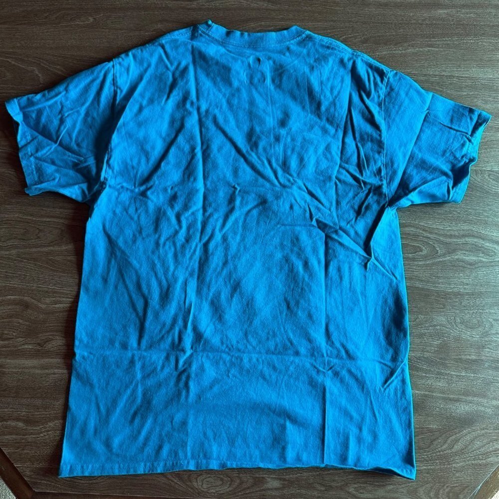 Hanes 2018 Awhonn Convention Tampa Florida Teal T-shirt Size L - Picture 9 of 14